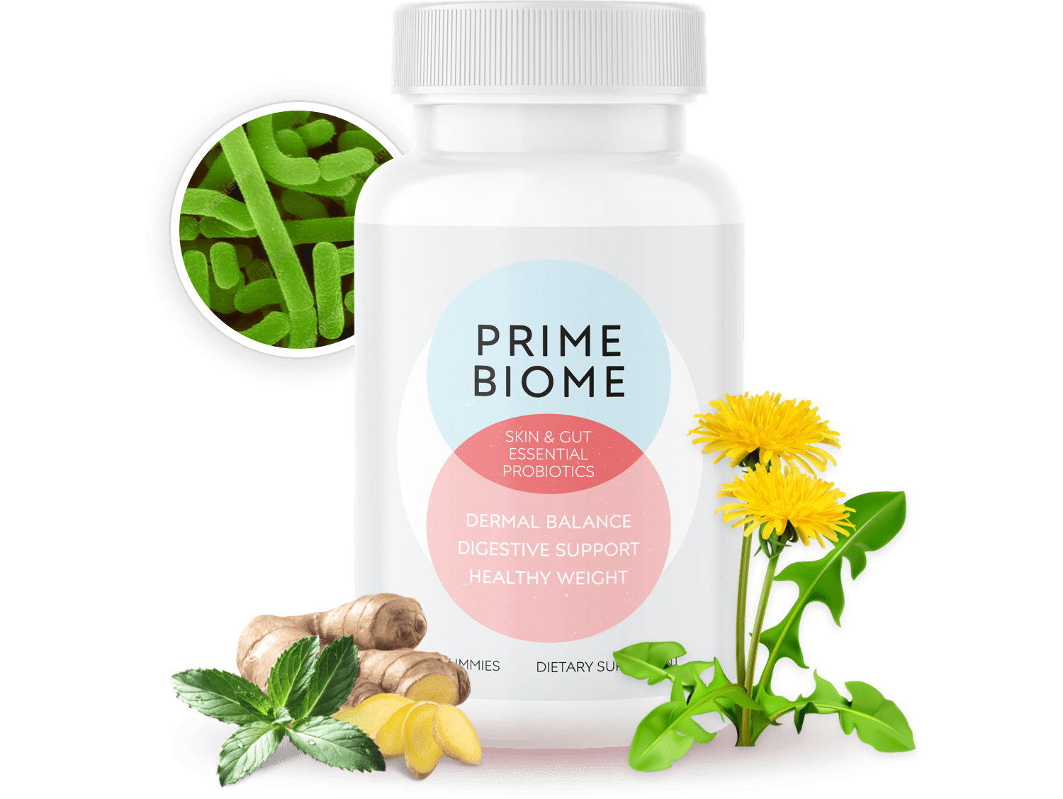 PrimeBiome buy